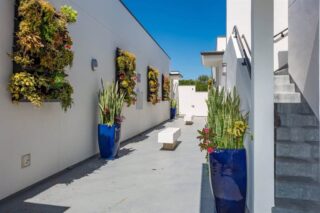 Walkway 1